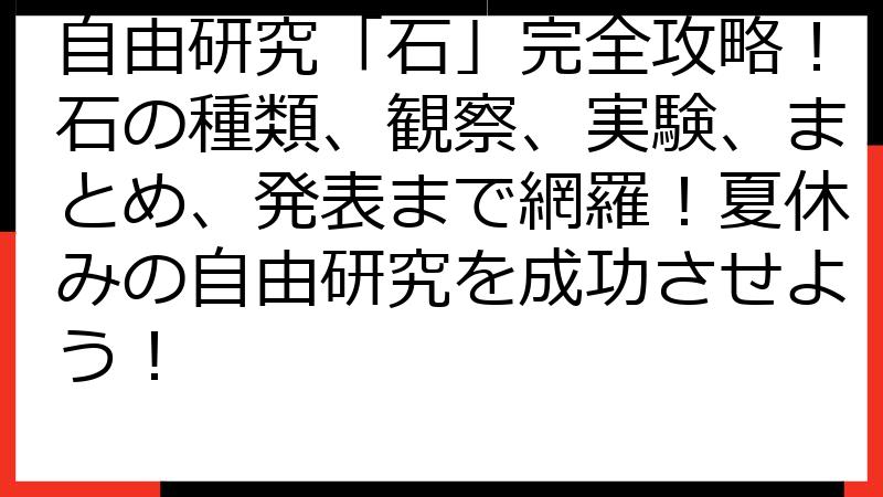 自由研究「石」完全攻略！石の種類、観察、実験、まとめ、発表まで網羅！夏休みの自由研究を成功させよう！