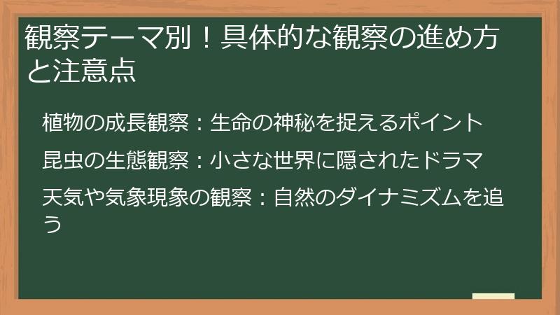 観察テーマ別!具体的な観察の進め方と注意点
