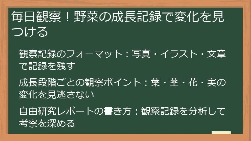 毎日観察！野菜の成長記録で変化を見つける