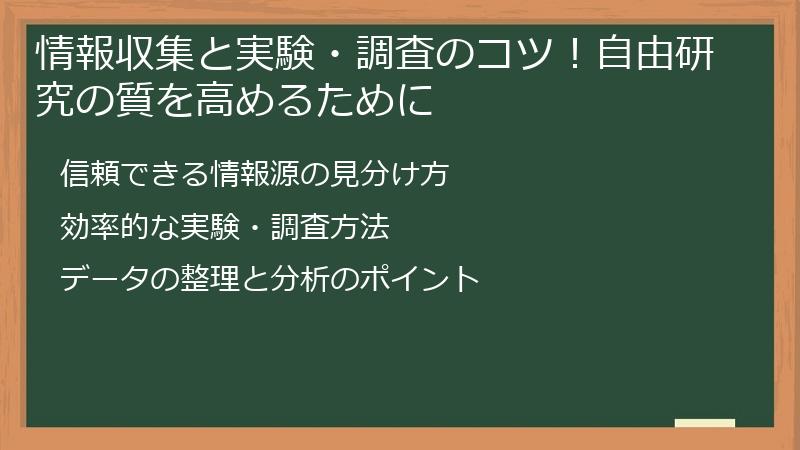 情報収集と実験・調査のコツ！自由研究の質を高めるために