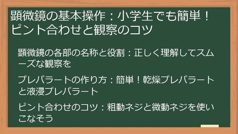 顕微鏡の基本操作：小学生でも簡単！ピント合わせと観察のコツ