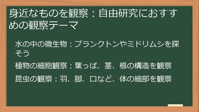 身近なものを観察：自由研究におすすめの観察テーマ