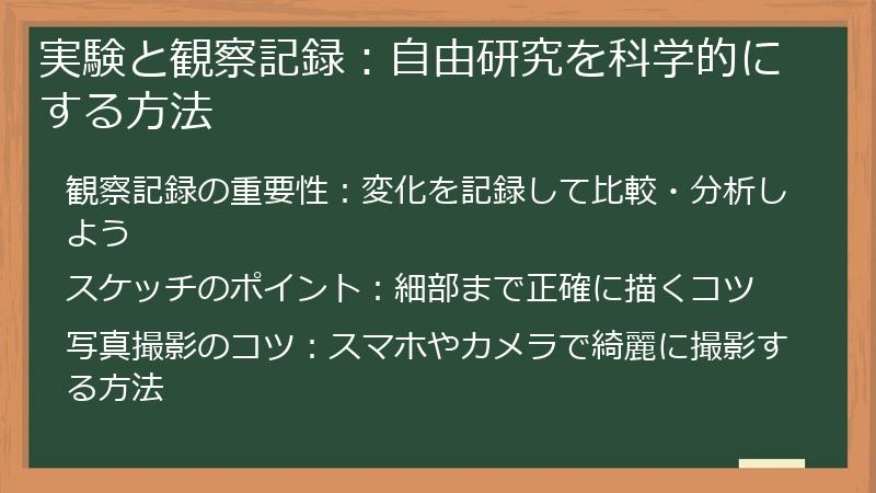 実験と観察記録：自由研究を科学的にする方法