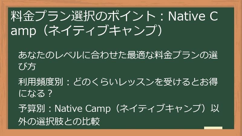 料金プラン選択のポイント：Native Camp（ネイティブキャンプ）