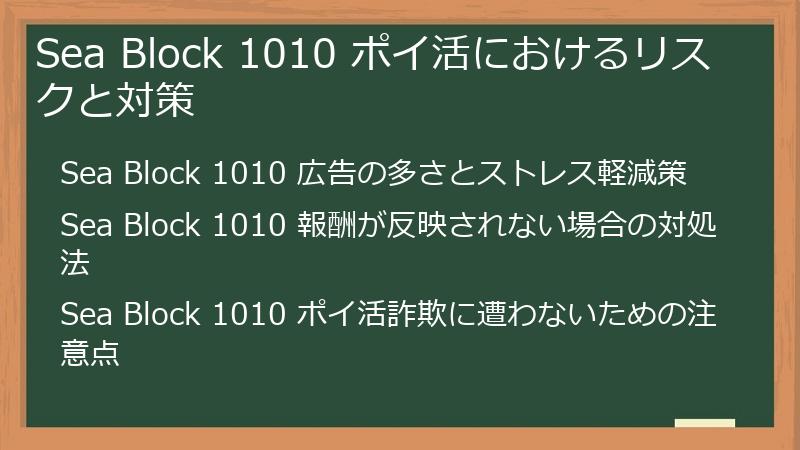 Sea Block 1010 ポイ活におけるリスクと対策