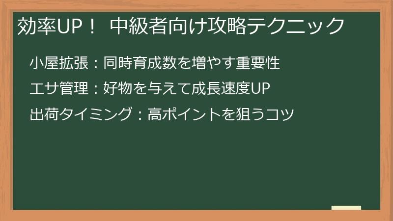 効率UP！ 中級者向け攻略テクニック