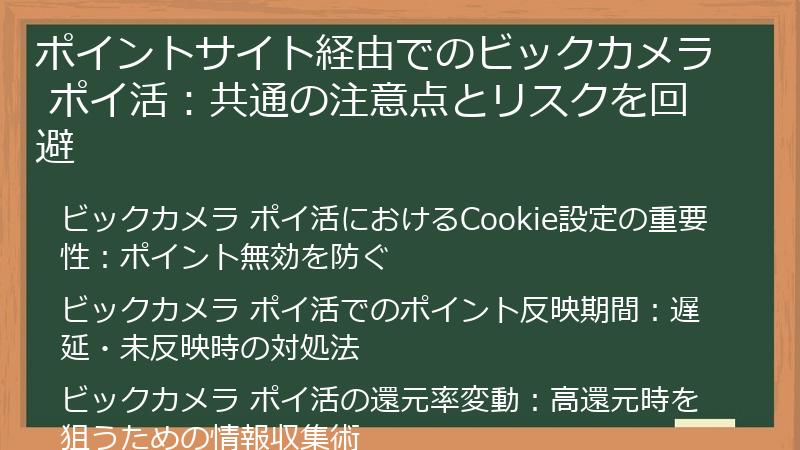 ポイントサイト経由でのビックカメラ ポイ活：共通の注意点とリスクを回避