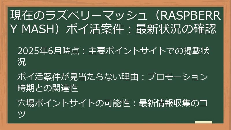 現在のラズベリーマッシュ（RASPBERRY MASH）ポイ活案件：最新状況の確認