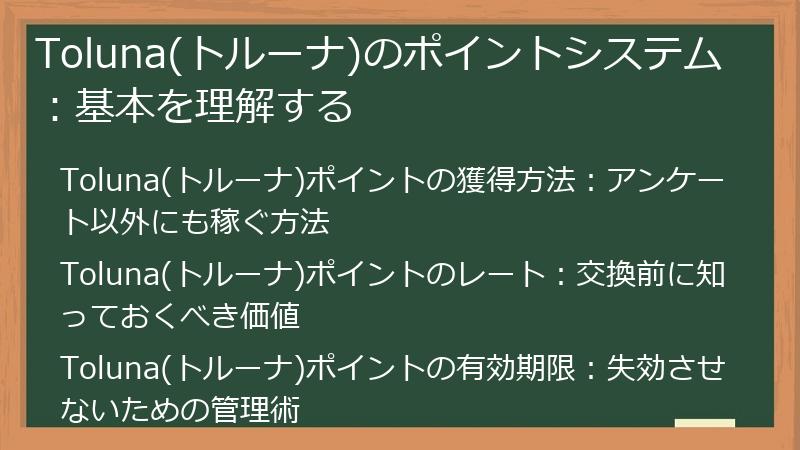 Toluna(トルーナ)のポイントシステム：基本を理解する