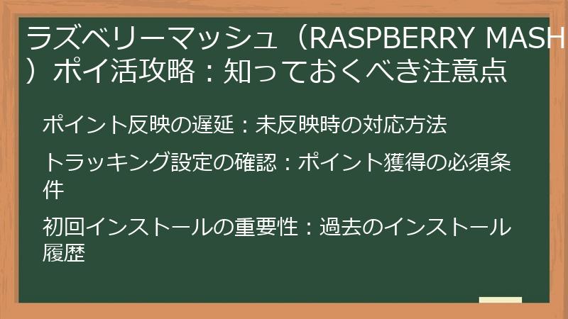 ラズベリーマッシュ（RASPBERRY MASH）ポイ活攻略：知っておくべき注意点