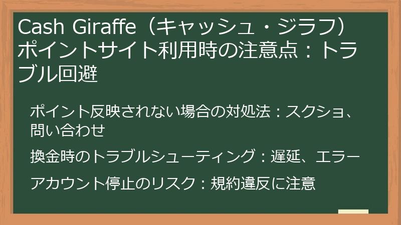 Cash Giraffe(キャッシュ・ジラフ)ポイントサイト利用時の注意点:トラブル回避
