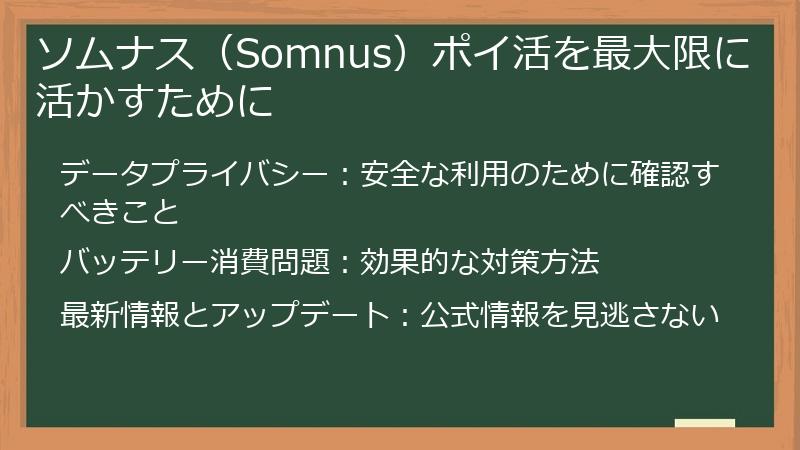 ソムナス(Somnus)ポイ活を最大限に活かすために
