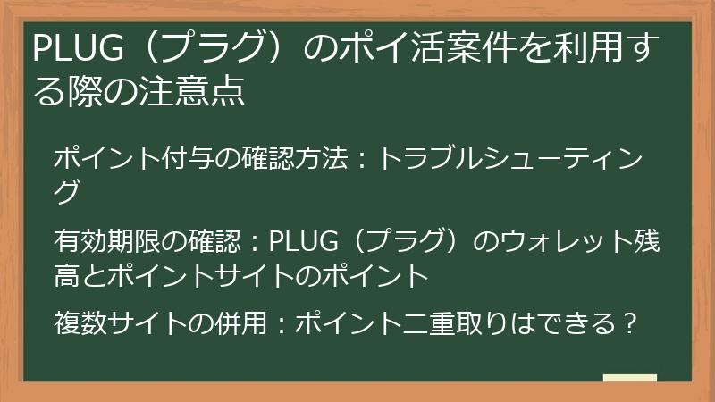 PLUG（プラグ）のポイ活案件を利用する際の注意点