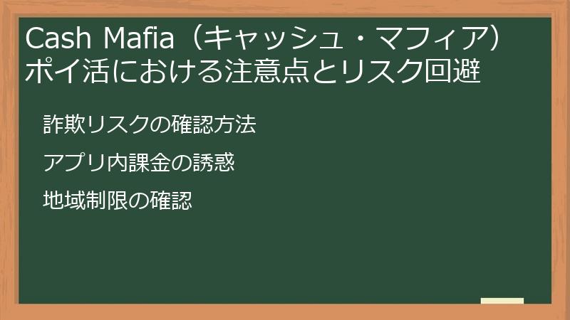 Cash Mafia（キャッシュ・マフィア）ポイ活における注意点とリスク回避
