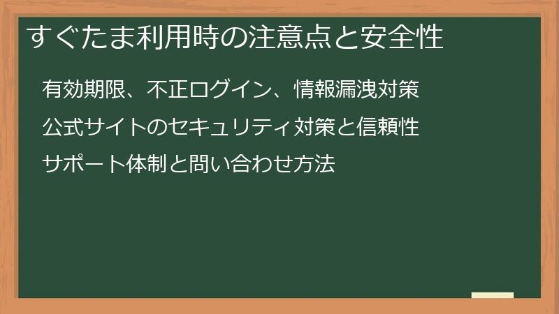 すぐたま利用時の注意点と安全性