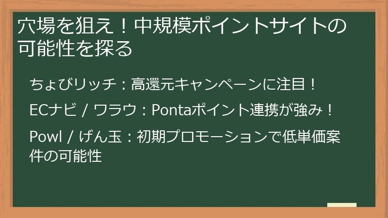 穴場を狙え！中規模ポイントサイトの可能性を探る