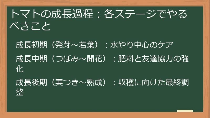 トマトの成長過程：各ステージでやるべきこと
