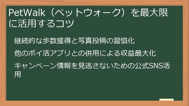 PetWalk(ペットウォーク)を最大限に活用するコツ