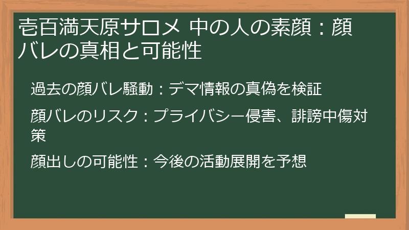 壱百満天原サロメ 中の人の素顔：顔バレの真相と可能性