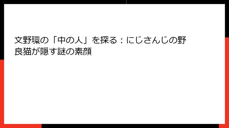 文野環の「中の人」を探る：にじさんじの野良猫が隠す謎の素顔