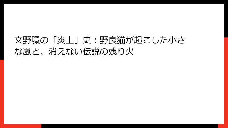文野環の「炎上」史：野良猫が起こした小さな嵐と、消えない伝説の残り火
