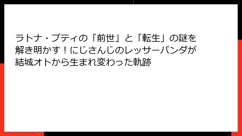 ラトナ・プティの「前世」と「転生」の謎を解き明かす!にじさんじのレッサーパンダが結城オトから生まれ変わった軌跡