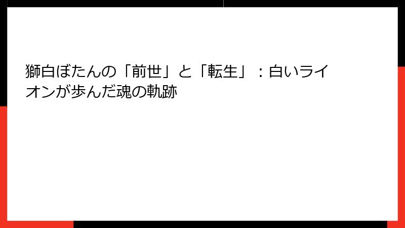 獅白ぼたんの「前世」と「転生」：白いライオンが歩んだ魂の軌跡