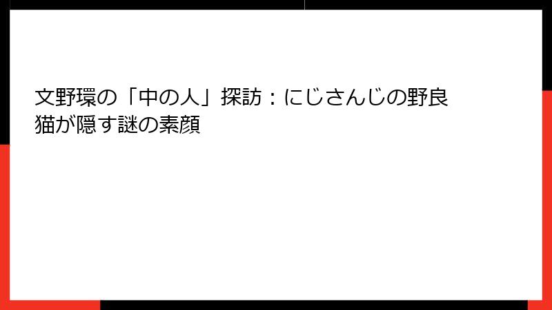 文野環の「中の人」探訪：にじさんじの野良猫が隠す謎の素顔