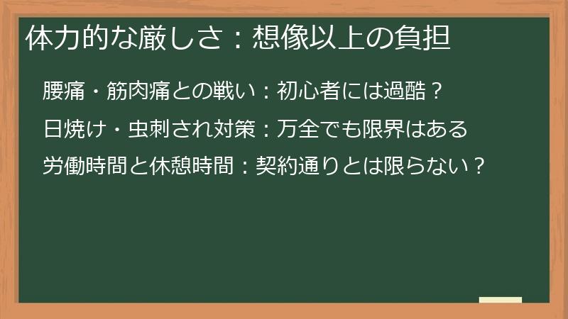 体力的な厳しさ：想像以上の負担